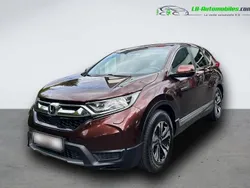 Utilisé 2019 Honda CR-V SUV | 26 000 € (Prix juste)