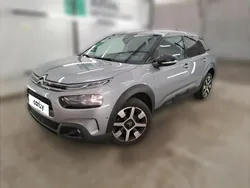 Gris Utilisé 2020 Citroën C4 Cactus Business Class Citadine | 15 290 € (Bon prix)