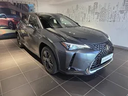 Utilisé 2025 Lexus UX 300h Business Edition SUV | 39 500 € (Super prix)