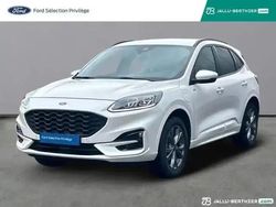 Blanc Utilisé 2023 Ford Kuga ST-Line X SUV | 24 489 € (Bon prix)