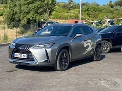 Gris Utilisé 2021 Lexus UX 250h SUV | 24 990 € (Bon prix)