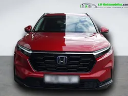 Utilisé 2025 Honda CR-V SUV | 51 600 € (Prix juste)