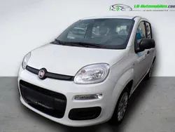 Utilisé 2020 Fiat Panda Citadine | 12 900 € (Prix assez cher)