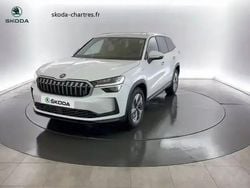 Blanc Utilisé 2024 Skoda Kodiaq Selection SUV | 42 440 €