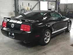 Noir Utilisé 2006 Ford Mustang Coupé | 20 000 €