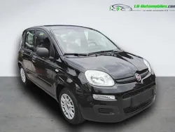 Utilisé 2021 Fiat Panda Citadine | 10 900 € (Bon prix)