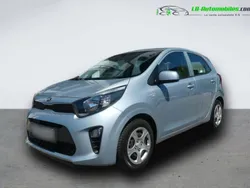 Utilisé 2019 Kia Picanto Citadine | 12 800 € (Bon prix)