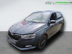 Utilisé 2020 Skoda Fabia Citadine | 21 300 € (Prix assez cher)