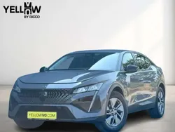 Gris Utilisé 2024 Peugeot 408 Allure Berline | 23 788 € (Bon prix)