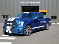 Bleu Utilisé 2017 Ford Shelby SUV | 99 890 €