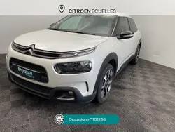 Blanc Utilisé 2019 Citroën C4 Cactus PureTech Citadine | 10 480 € (Prix juste)