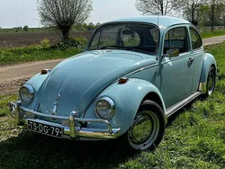 Bleu Utilisé 1974 VW Beetle Berline | 9 000 €