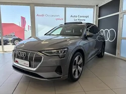 Gris taifun métallisé Utilisé 2019 Audi e-tron Advanced Plus SUV | 30 990 €