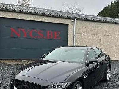 Occasion Jaguar XE Pure 200 ch (147 kW) 2015 Jaune Berline