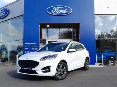 Blanc glacier Occasion 2024 Ford Kuga ST-Line SUV | 28 990 € (Prix juste)