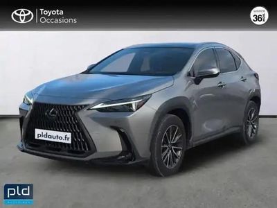 Occasion Lexus NX350h 2024 Gris titane métallisé SUV
