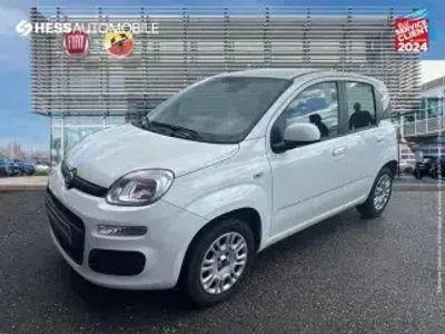 occasion Fiat Panda 1.2 8v 69ch Easy