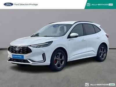 Blanc glacier Occasion 2024 Ford Kuga ST-Line X SUV | 31 789 € (Prix juste)