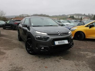 Gris Occasion 2019 Citroën C4 Cactus Shine Citadine | 12 500 € (Prix juste)