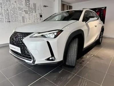 Occasion Lexus UX 300e Executive Line 150 kW (204 ch) 2021 Blanc arctique métallisé SUV