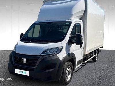 Occasion Fiat Ducato Business 160 ch (117 kW) 2022 Blanc Van