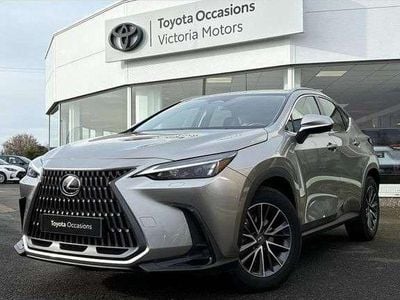 Occasion Lexus NX350h 244 ch (179 kW) 2023
