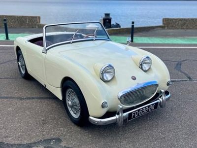 Occasion Austin Healey Frogeye 46 ch (33 kW) 1959