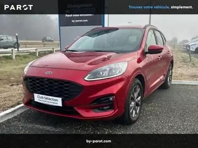 Occasion Ford Kuga ST-Line X 2023 Rouge SUV