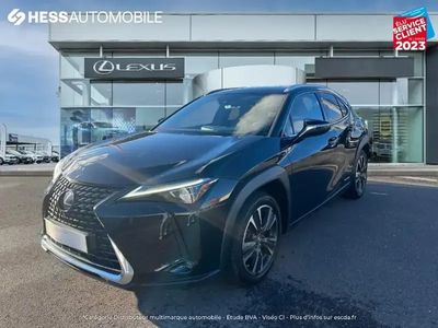 occasion Lexus UX 250h 250h 4WD Executive MY20