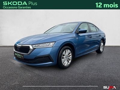 occasion Skoda Octavia Octavia1.0 TSI mHEV e-TEC 110 ch DSG7