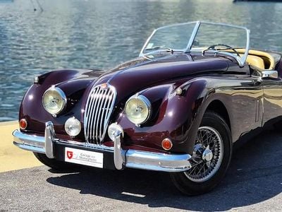 Mauve Occasion 1955 Jaguar XK Cabriolet | 72 500 €