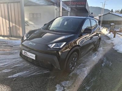 Nouvelle BYD Dolphin Surf Boost 66 kW (90 ch) 2025 Noir Citadine