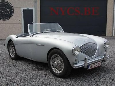 Occasion Austin Healey 100 90 ch (66 kW) 1954 Argent Cabriolet