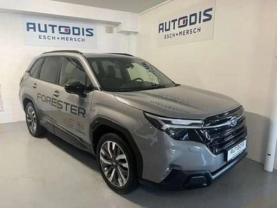 Occasion Subaru Forester Premium 136 ch (100 kW) 2025 Gris SUV