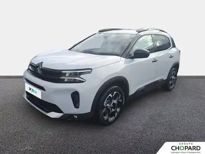 Blanc Occasion 2025 Citroën C5 Aircross SUV | 28 889 € (Prix juste)