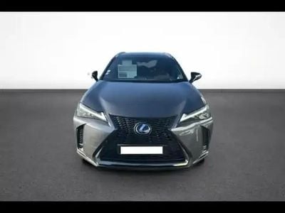 Occasion Lexus UX 250h Sport Line 154 ch (113 kW) 2022 Gris de payne métallisé SUV