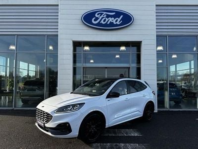 Blanc glacier Occasion 2023 Ford Kuga ST-Line X SUV | 25 399 € (Prix juste)