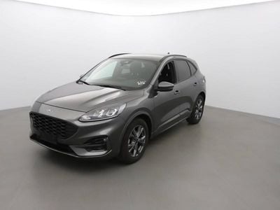 Occasion Ford Kuga ST-Line 120 ch (88 kW) 2024 SUV
