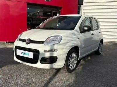 Blanc gelato pastel Occasion 2025 Fiat Panda Classica Berline | 16 290 € (Prix cher)