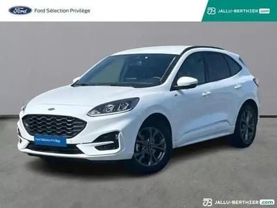 Blanc Occasion 2023 Ford Kuga Business Edition SUV | 25 490 € (Prix juste)