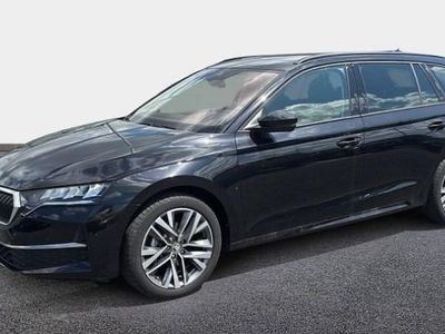 Occasion 2024 Skoda Octavia Selection Break | 32 490 € (Prix juste)