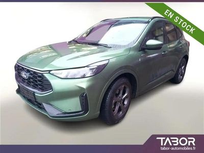 Vert Occasion 2024 Ford Kuga ST-Line SUV | 26 988 € (Prix juste)