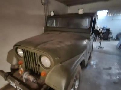 Vert Occasion 1958 Jeep Willys Cabriolet | 11 000 €