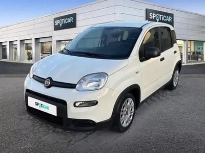 Blanc Occasion 2022 Fiat Panda Cross Cross Citadine | 11 990 € (Prix juste)