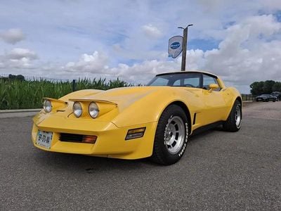 Jaune Occasion 1981 Corvette C3 Cabriolet | 25 000 €
