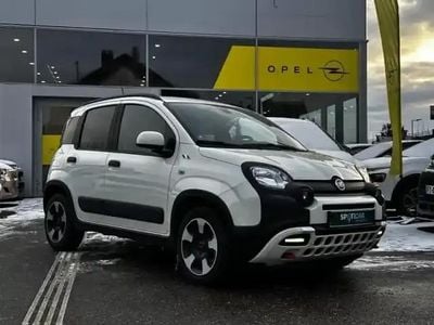 Blanc Occasion 2024 Fiat Panda Cross Cross Citadine | 12 989 € (Prix juste)