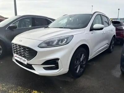 Premium blanc platinum Occasion 2023 Ford Kuga ST-Line SUV | 25 999 € (Prix juste)