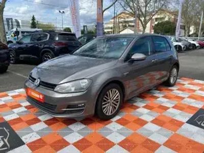 occasion VW Golf 1.6 Tdi 105 Cup