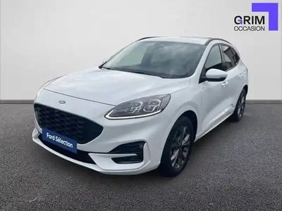 Blanc Occasion 2023 Ford Kuga ST-Line X SUV | 30 990 € (Prix assez cher)