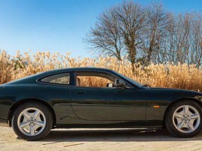 Occasion 1998 Jaguar XK8 Coupé | 31 000 €